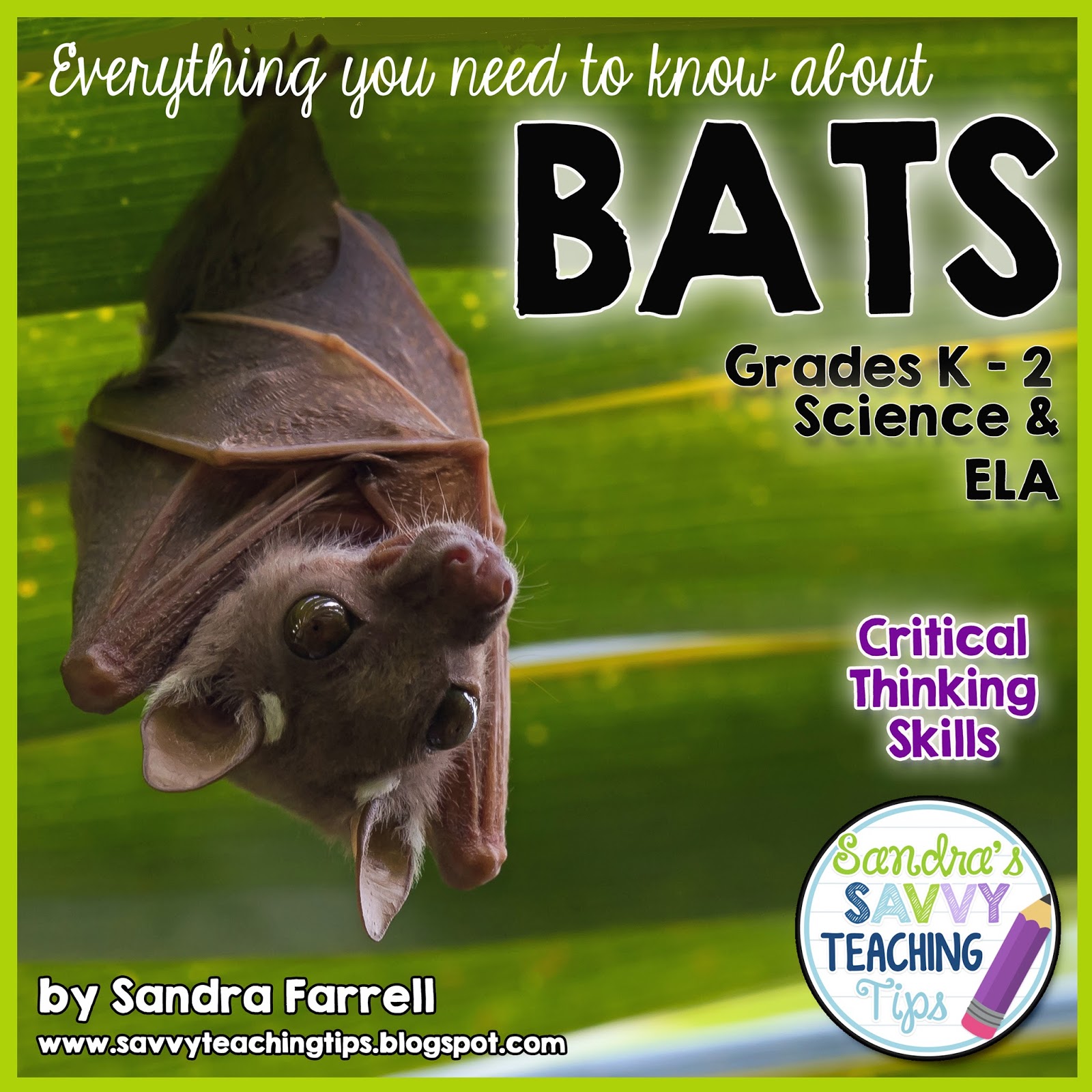 A fully complete unit about bats.  There's fantastic information about life science, life cycle, language arts, math and levelled readers too.