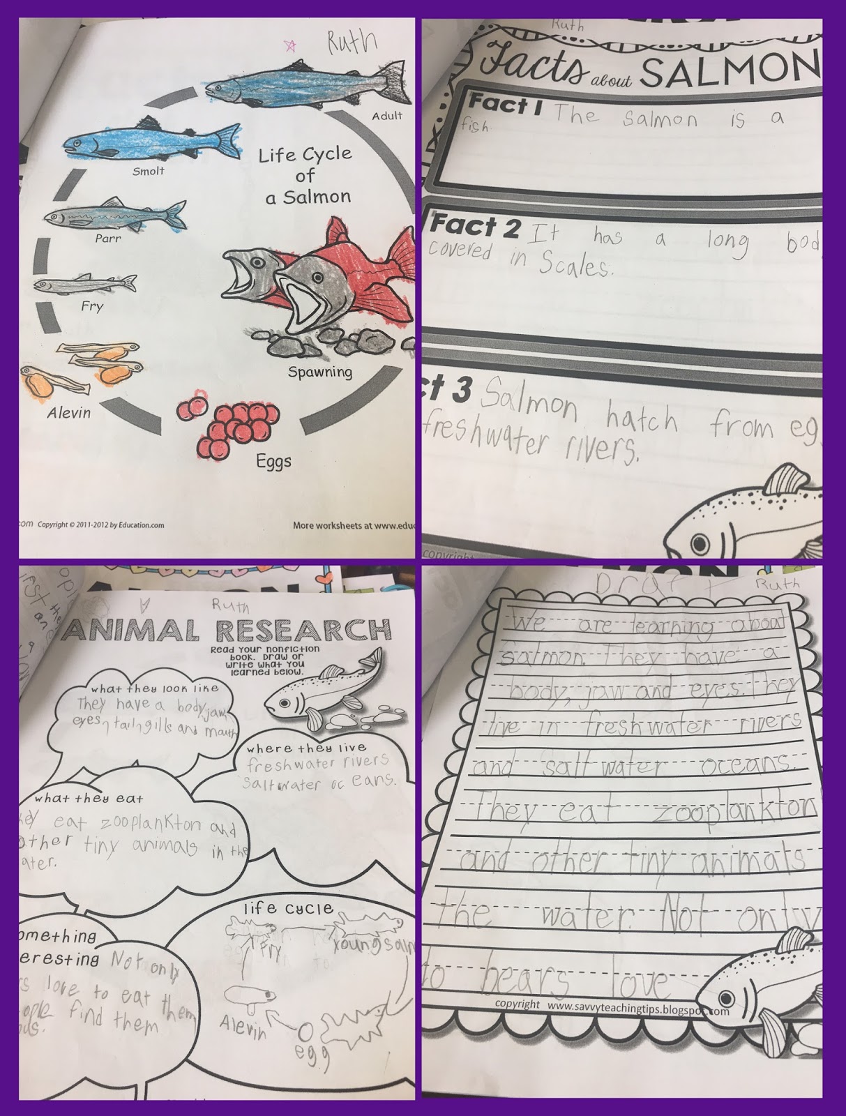I like to try to combine Language Arts with Science whenever I can.  That's why I came up with my Non-Fiction Animal research units for Primary classrooms.